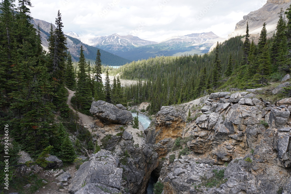 Bow River at Bow Falls Bow River at Bow Falls