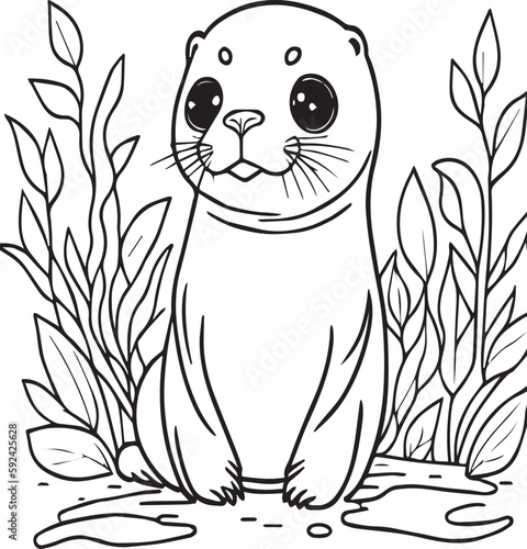 Foca - Coloring page