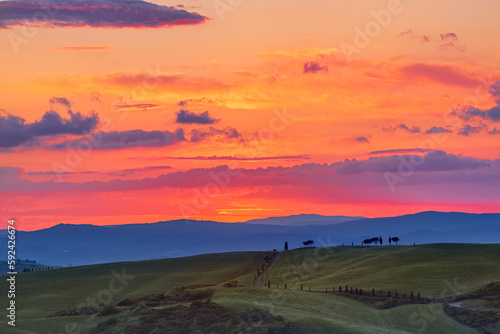 Colorful sunset, Val d'Orcia, Tuscany, Italy