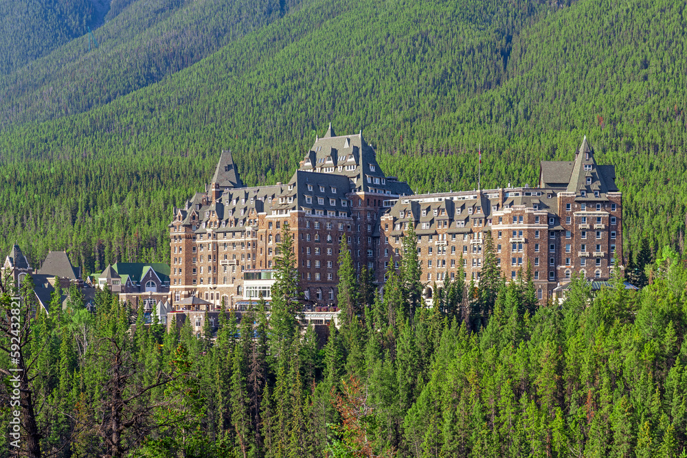 Pine tree forest with Banff Springs Hotel facade, Banff national park, Alberta, Canada.