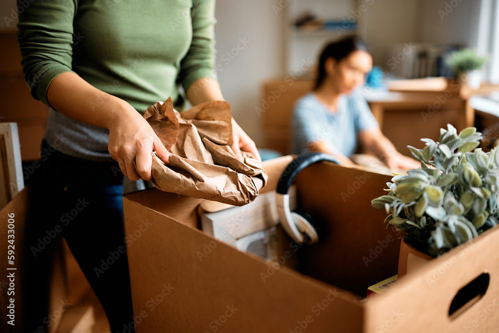 Close up of woman unpacking her belongings after relocating into new home. - obrazy, fototapety, plakaty 