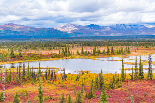 Tundra along the Sustina River in Alaska