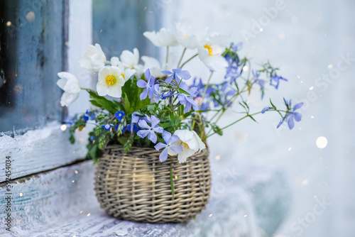 beautiful pink bouquet of mixed flowers windflower, slender speedwell, Whetzel weed in basket photo