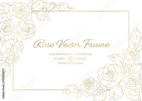Fototapete 薔薇の花のイラストを装飾したフレーム, カードのテンプレート素材, 白背景に金色の線画.
