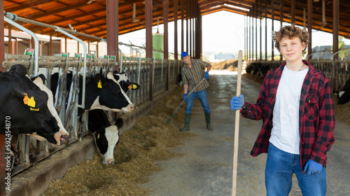 Young farmer diligently cleans the barn and feeds the cows with hay