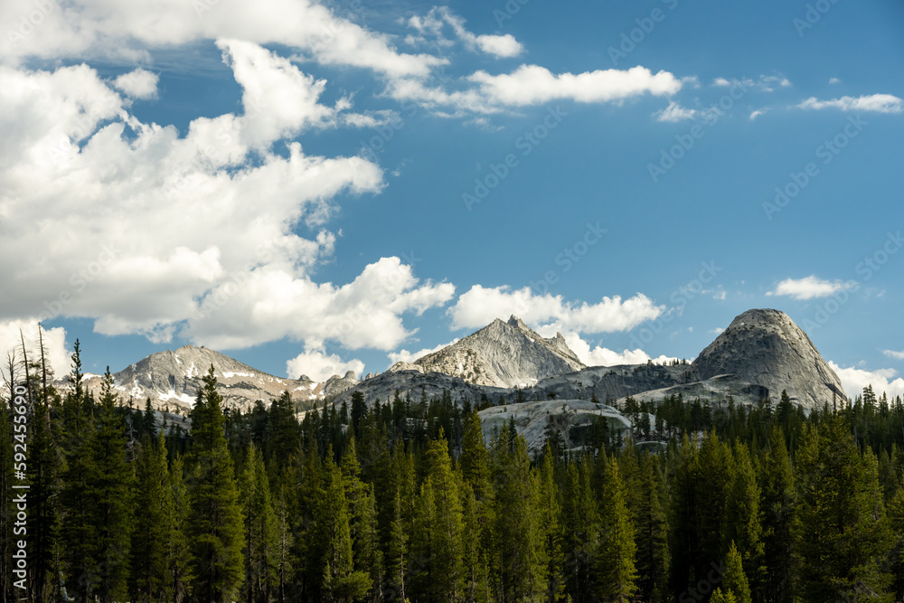 Pine Trees Below Granite Fairview Dome in Yosemite Pine Trees Below Granite Fairview Dome in Yosemite