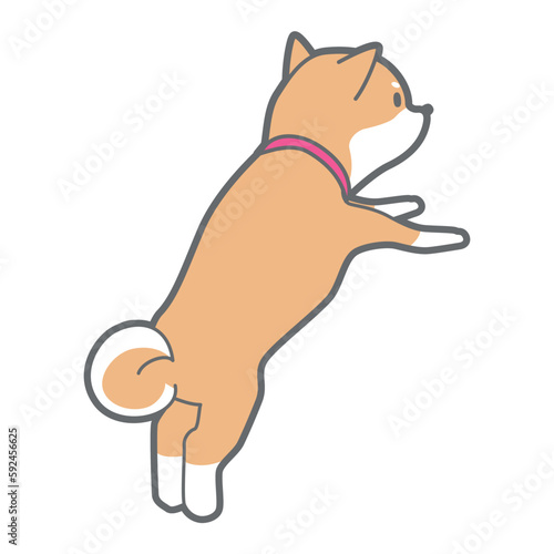 覗き込む柴犬のベクターイラスト