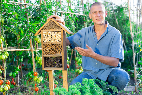 Organic farmer working in his garden during summer season beside insect hotel in kitchen garden.