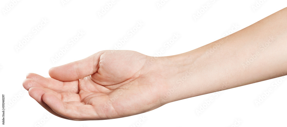 Outstretched open hand asking for help or holding something, cut out Outstretched open hand asking for help or holding something, cut out