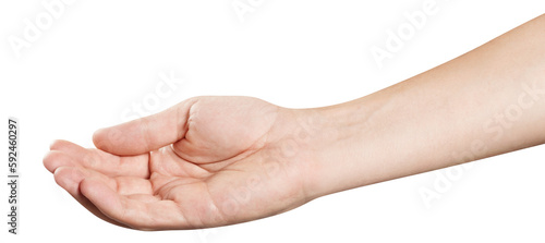 Outstretched open hand asking for help or holding something, cut out