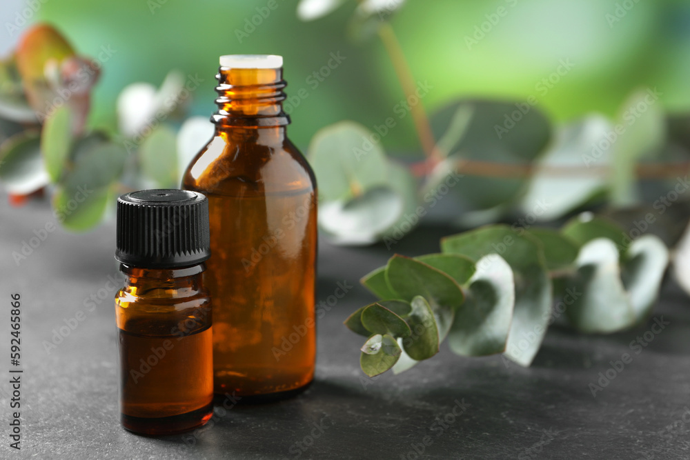 Bottles of eucalyptus essential oil and plant branches on grey table, space for text