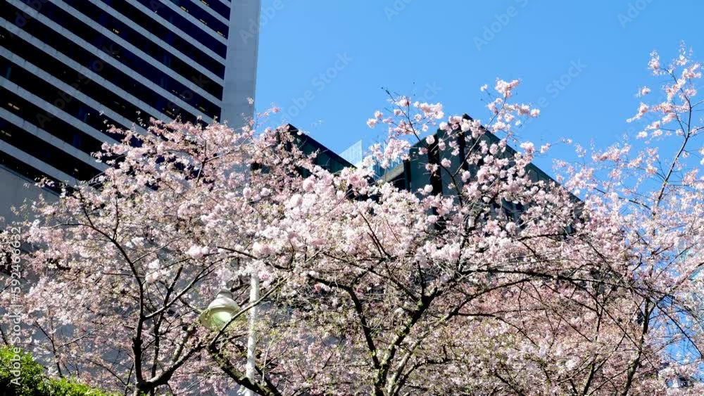 cheap reflective essay ghostwriter service gb