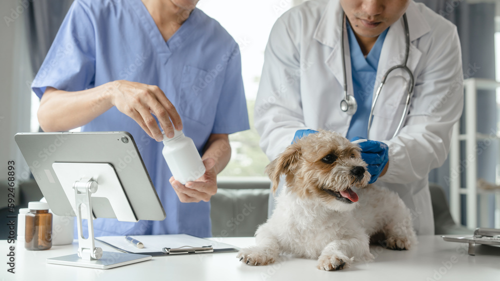 Livestock doctor and assistant to check dog's health and vaccinate against rabies and get rid of ticks and fleas.