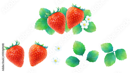 熟した赤いイチゴと葉と花の水彩イラストセット_新鮮で甘いかわいいフルーツ