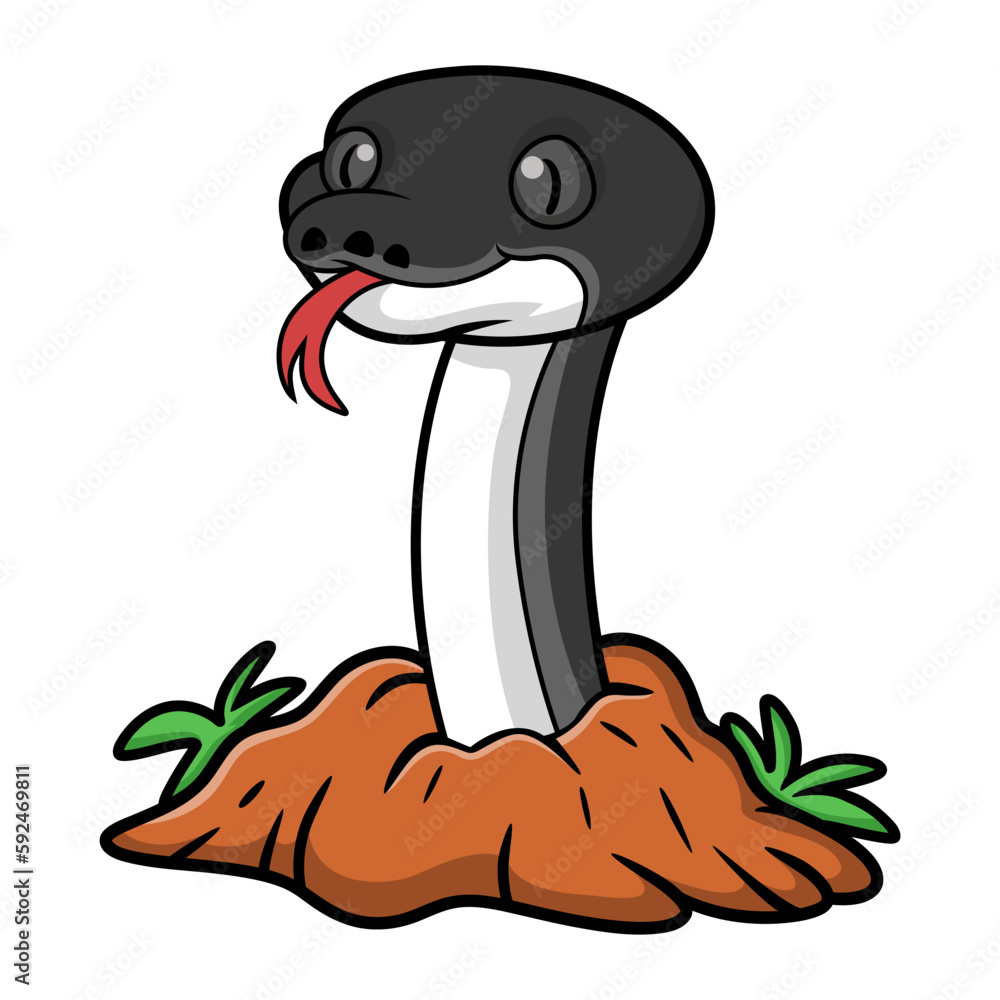 Cute albertisi snake cartoon out from hole