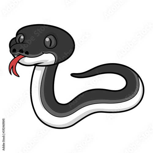 Cute happy albertisi snake cartoon photo