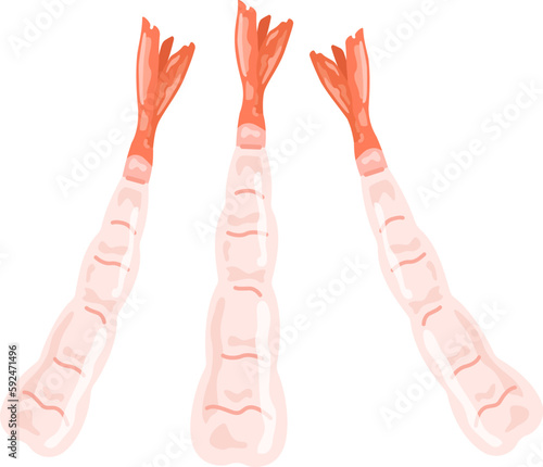 生食用の甘海老のイラスト