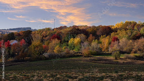 Evening colors