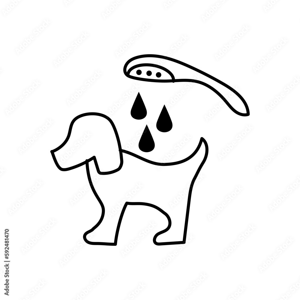 Washing of dog under shower on white background Washing of dog under shower on white background