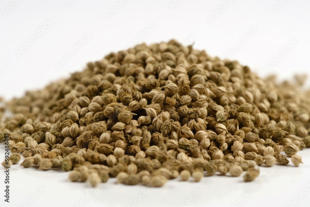 cumin seeds on white background cumin seeds on white background