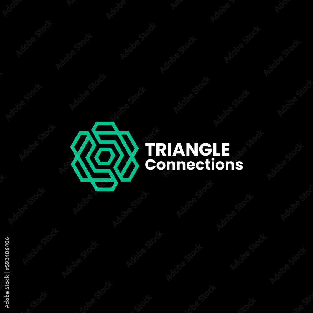 Fototapeta premium Vector Logo Illustration Triangle Connection Line Art Style