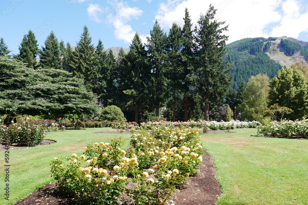 Queenstown Gardens Stadtpark mit Tannen in Neuseeland Neuseeländische Alpen