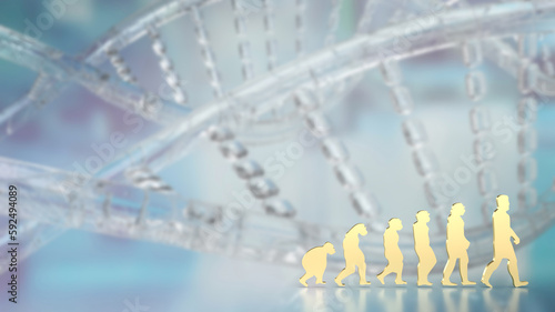 The human evolution image for education or sci concept 3d rendering