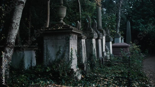 Old tombstones in a gothic cemetery photo