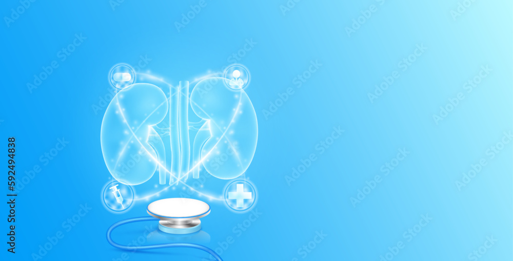Medical health care. Human kidney anatomy float on stethoscope with