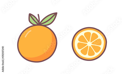 Orange outline illustration with watercolor effect. Vector doodle icon sketch hand drawn citrus fruit illustration