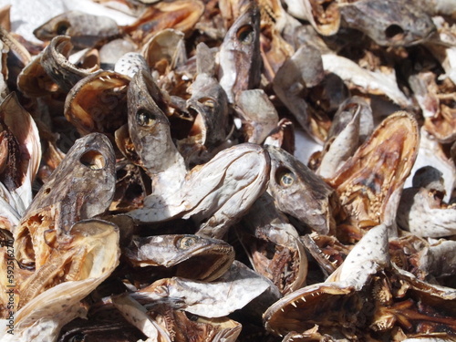 Dried Fish
