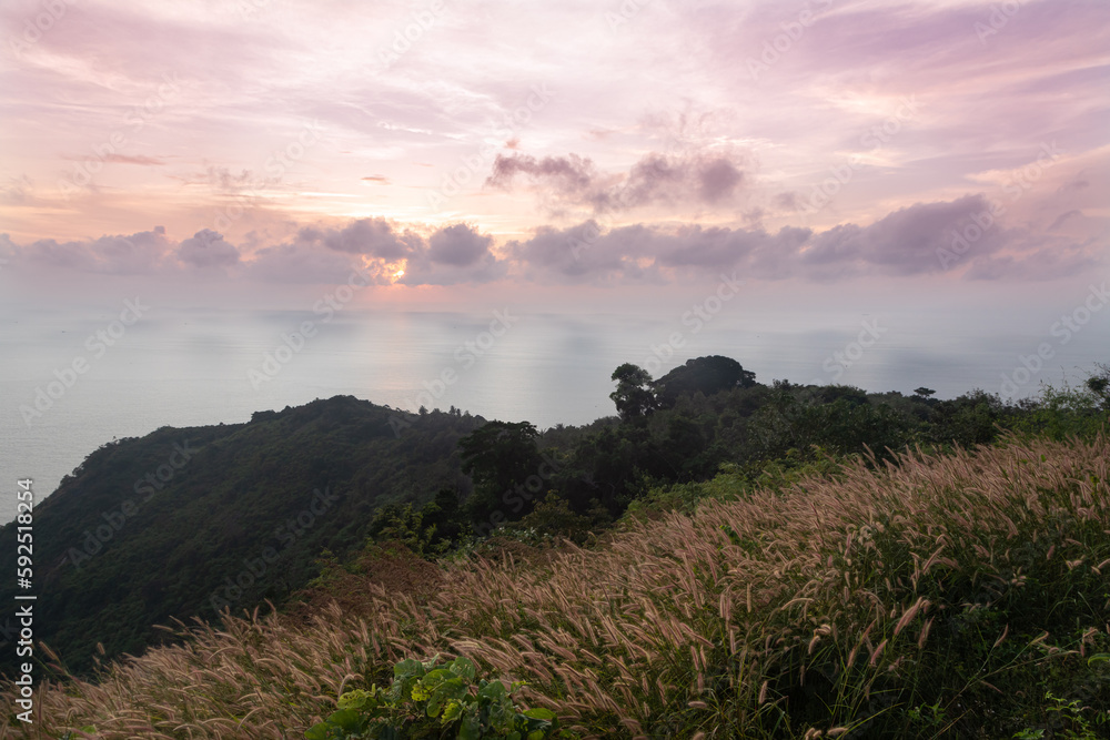 Obraz premium Panoramic view from Promthep Cape sunset viewpoint in Phuket island in Thailand. Purple skies above endless foggy abyss. Tropical hills covered with yellow tall grass look like wheat in the foreground