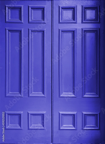 blue door with panels 