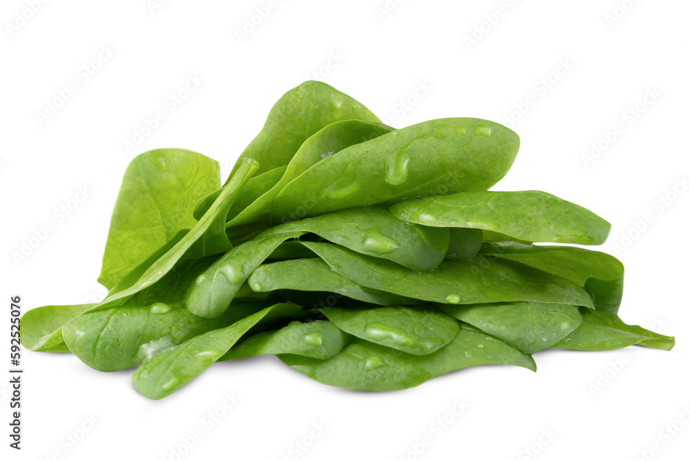 Bunch of spinach isolated on a transparent background. Bunch of spinach isolated on a transparent background.