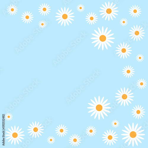 Daisy flower on Plain background. Summer background with Daisy. Vector Illustration. 