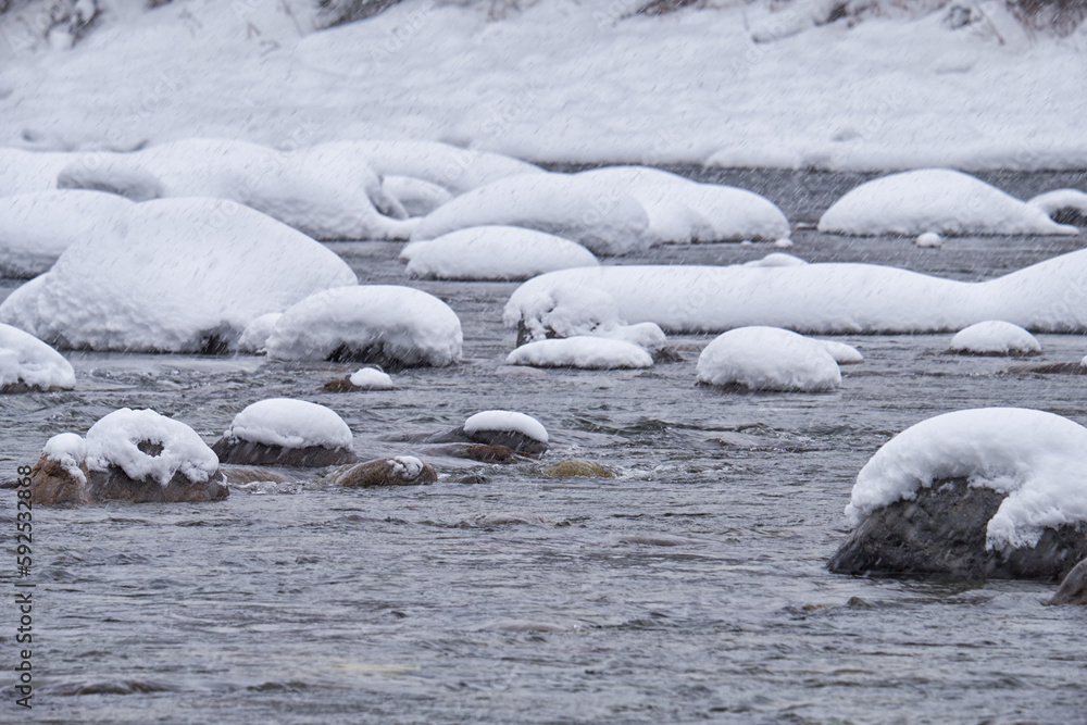 Obraz premium Stones with snow caps in the water of Altai Biya river under heavy snow in winter season