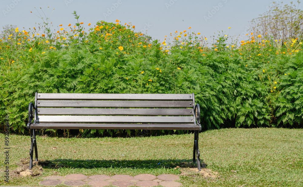 Fototapeta premium Bench in the park with yellow cosmos flowers in the background, Thailand.