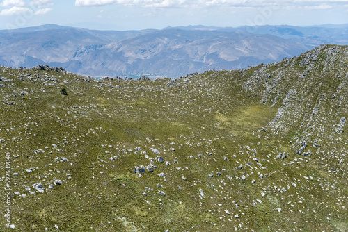 lone tree on Langeberge range summit aerial, South Africa photo