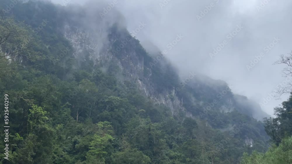 Panshot of misty white limestone mountain ridge with thick evergreen jungle at the bottom Panshot of misty white limestone mountain ridge with thick evergreen jungle at the bottom