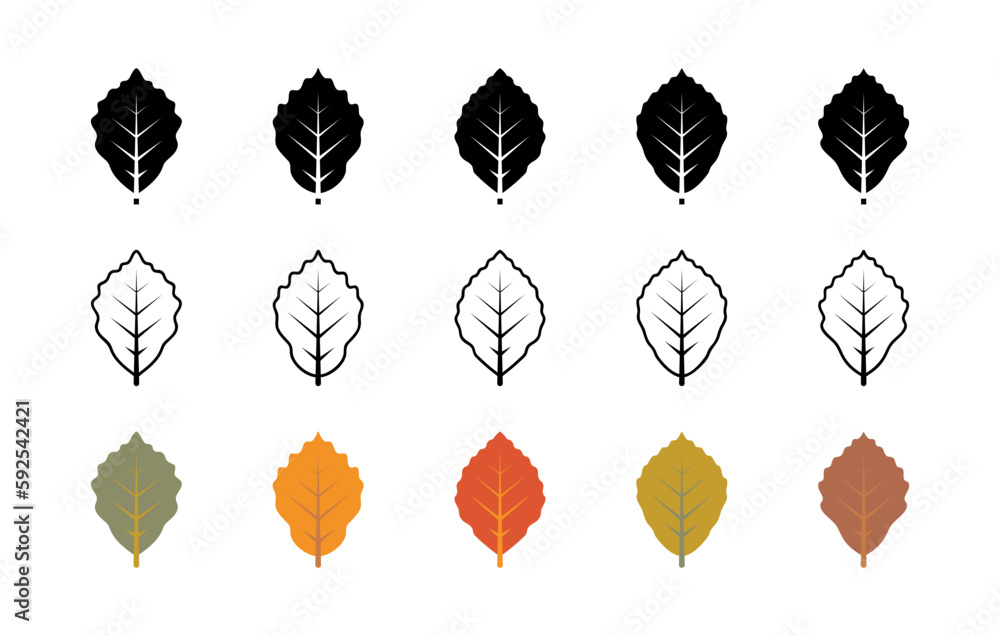 Beech leaves vector icons. Isolated collection of leaves beech icon for websites on white background. - obrazy, fototapety, plakaty 
