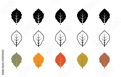Beech leaves vector icons. Isolated collection of leaves beech icon for websites on white background.