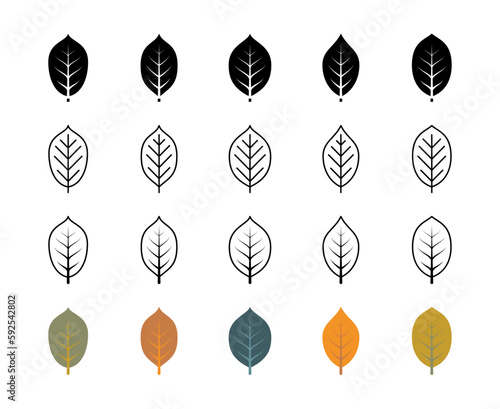 Walnut tree leaf vector icons. Isolated walnut leaves icon collection for websites on white background.