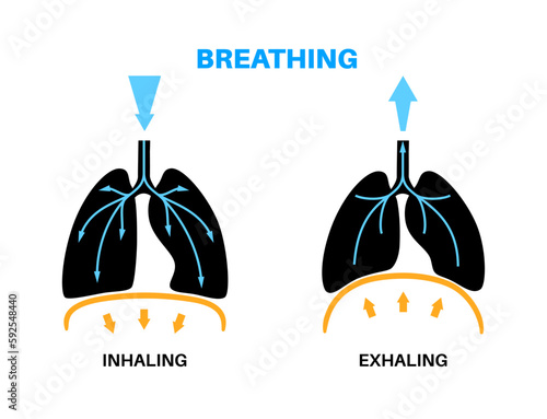 Breathing process poster