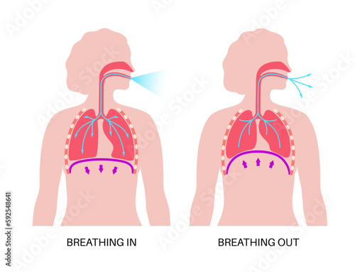 Breathing process poster