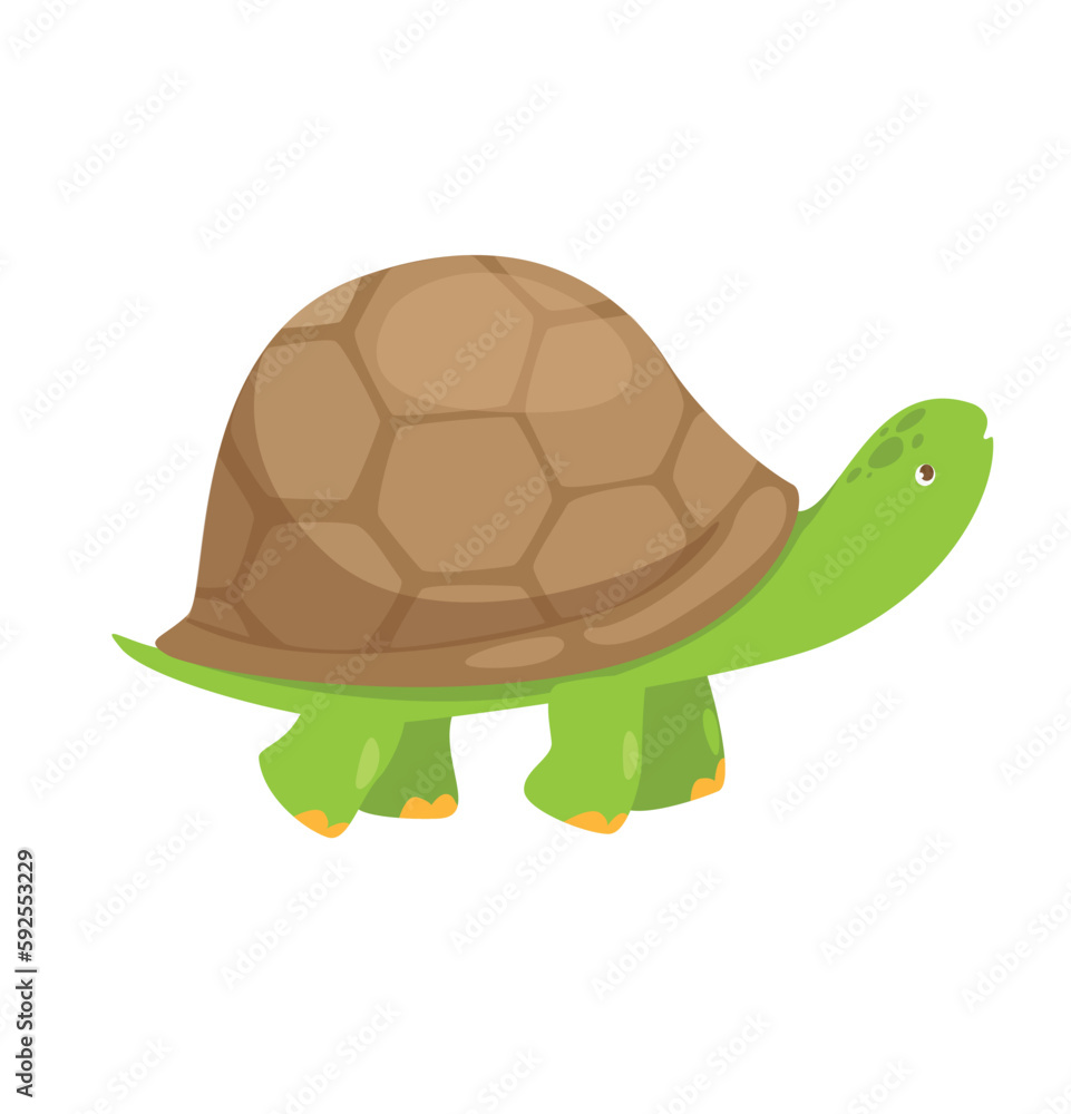 Obraz premium Concept Pet products set with turtle. This is a flat vector concept cartoon design featuring a pet, specifically a turtle. Vector illustration.