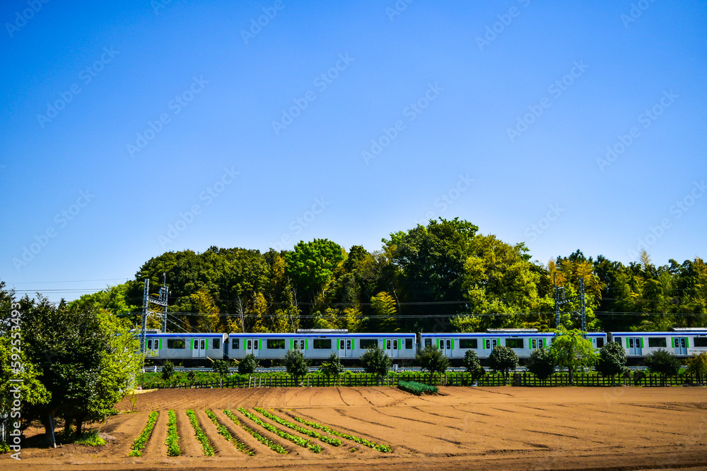 Fototapeta premium 野山を駆け抜ける列車