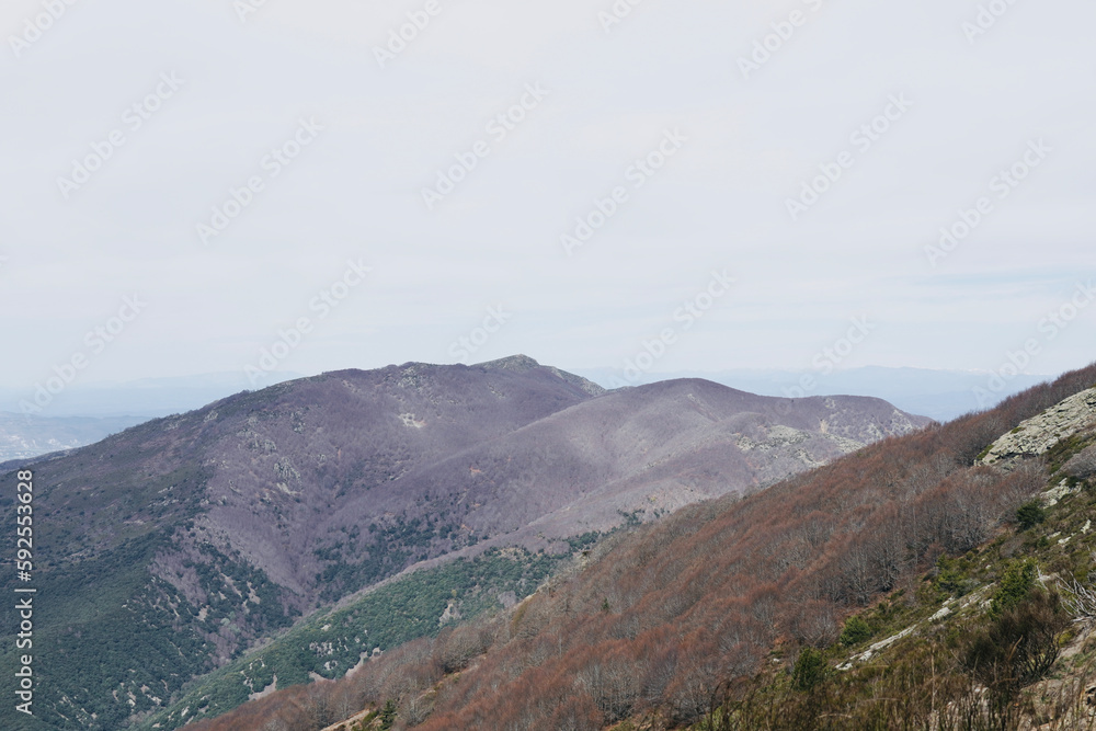 Views from the top of Montseny. Autumn lilac trees. Spanish mountain peaks in Catalonia. Views from the top of Montseny. Autumn lilac trees. Spanish mountain peaks in Catalonia.