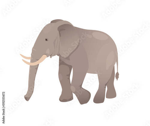 Concept Fauna animal elephant. This is a flat vector illustration featuring a cute cartoon elephant  part of a fauna-themed design. Vector illustration.