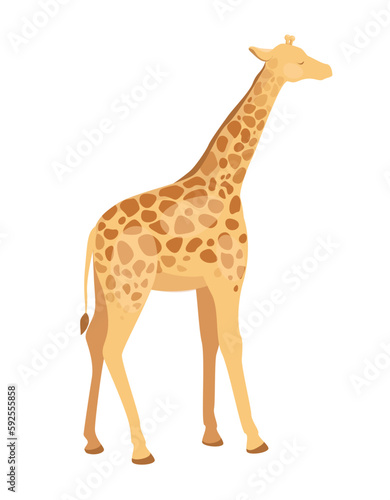 Concept Fauna animal giraffe. This illustration is a flat vector cartoon design featuring a giraffe  an iconic fauna animal  against a white background. Vector illustration.