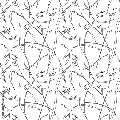 Line art meadow grass seamless pattern. Black contour, white background vector graphic. Beautiful retro design for lawn seed packaging, eco bag textile prints; border, frame for product label.